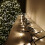 Premier 720 LED (9.3m) Premier Cluster Christmas Tree Lights with Timer - Warm White 1