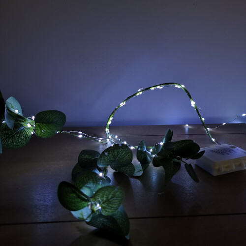 Premier Premier 200 LED Vit utomhus batteridriven Multi-Action Micro Brights 2