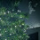 Premier 1000 LED (25m) Premier TreeBrights Christmas Lights with TIMER in Cool White 2