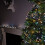 Premier 1500 LED (37.5m) Premier TreeBrights Christmas Tree Lights TIMER Cool Warm White 3