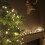 Premier 1500 LED (37.5m) Premier TreeBrights Christmas Tree Lights & TIMER in Warm White 2