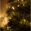 Premier Vintage Gold 960 LED Multi-Action Supabrights with Timer – 12.4M Indoor/Outdoor String Lights, Green Cable, Non-Replaceable Bulbs 4