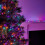 Premier 500 LED (12.5m) Premier TreeBrights Christmas Tree Lights - TIMER in Rainbow 2