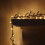 Premier Vintage Gold 960 LED Multi-Action Supabrights with Timer – 12.4M Indoor/Outdoor String Lights, Green Cable, Non-Replaceable Bulbs 2
