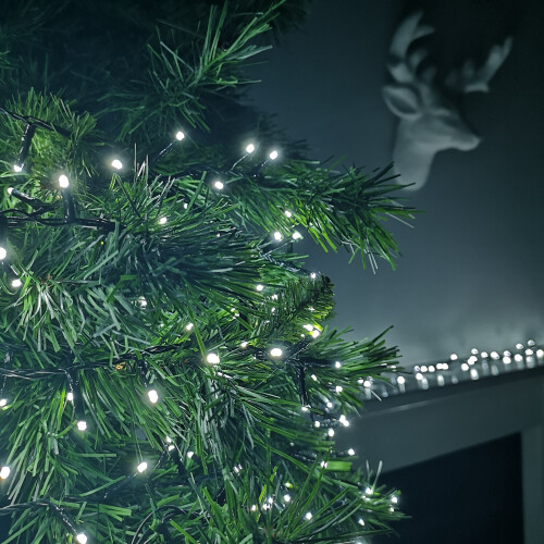 Premier Premier Christmas 3000 LED Treebrights Timer White LEDs 75m 1