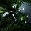 Premier 50 LED 5m Premier Battery 8 Function Outdoor Smart Timer Lights Clear Wire White 3