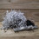 Premier Premier 12.4m Multi Action 960 Warm White LED Cluster Christmas Lights with Timer 5