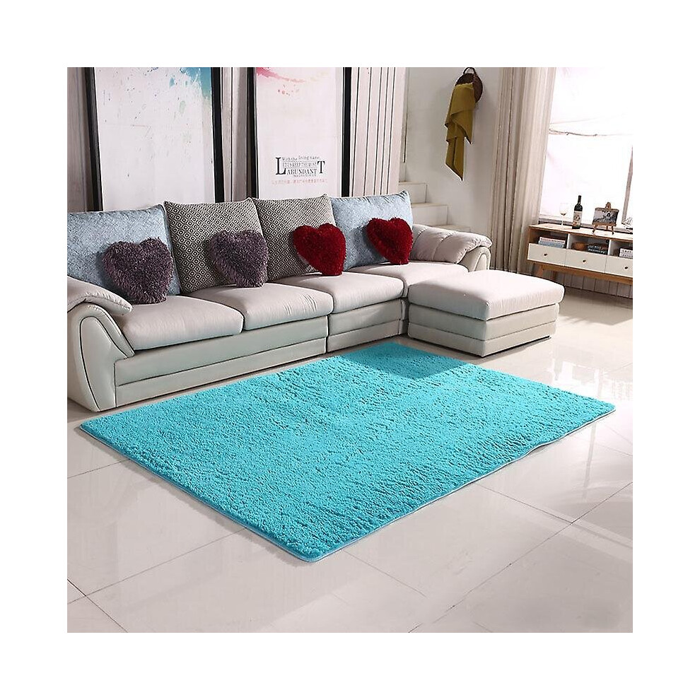 (Blue, 80x160cm) Flurry Area Rugs Indoor Soft Large Carpet Mat Living Room Bedroom-image-OPC-PB2FWB2-NEW