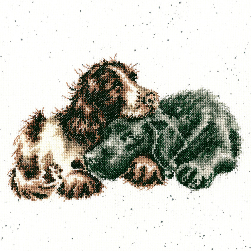 Wrendale Growing Old Together (Xhd104) Cross Stitch Kit By Designs