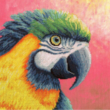 Paradise (XRF1) Cross Stitch Kit by Rachel Froud