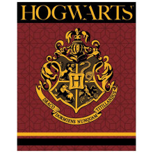 Warner Bros Harry Potter Hogwarts Premium Coral Blanket Version 2 - 120 x 150 CM