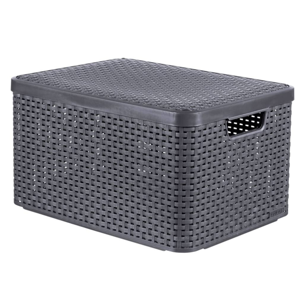 Curver Storage Box with Lid Style L 30L Metallic Silver Household Storage Box