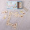 Match The Tits Dominoes 2
