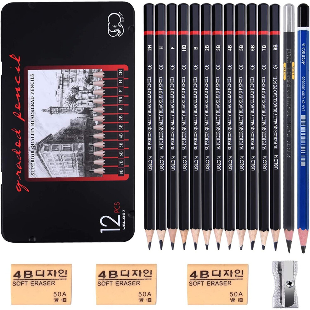 Vicloon Professional Sketch and Drawing Pencils Set, 14 Pcs Sketching Pencils Art Pencil with 3 Pcs Erasers and 1 Pc Sharpeners for Beginners, Kids or