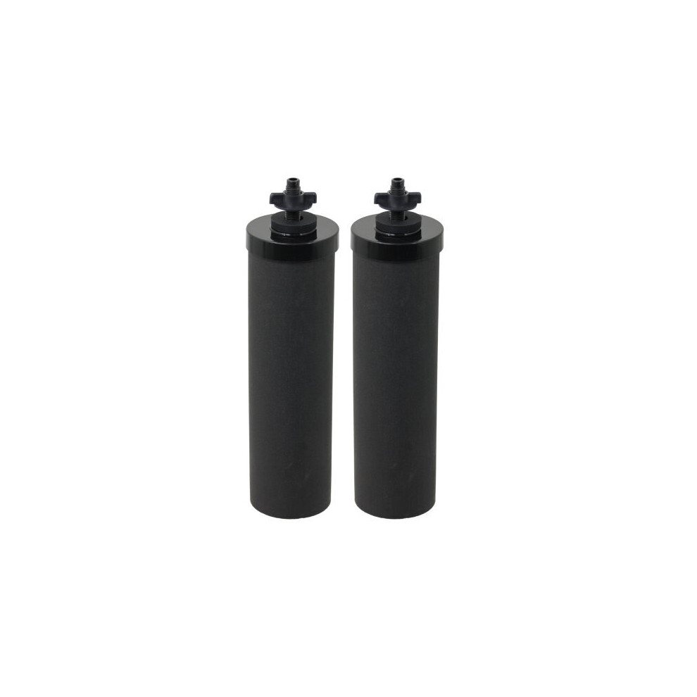 Water Filter Element BERKEY Purification System Cartridge Filters x 2