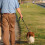 Bingopaw Dog Training Double Ended Leads : 2m Hands Free Adjustable Pet leash 8