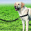 Bingopaw Dog Training Double Ended Leads : 2m Hands Free Adjustable Pet leash 9