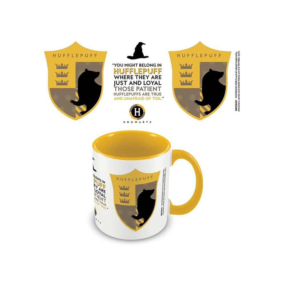 Harry Potter Hufflepuff House Pride Coloured Inner Boxed Mug