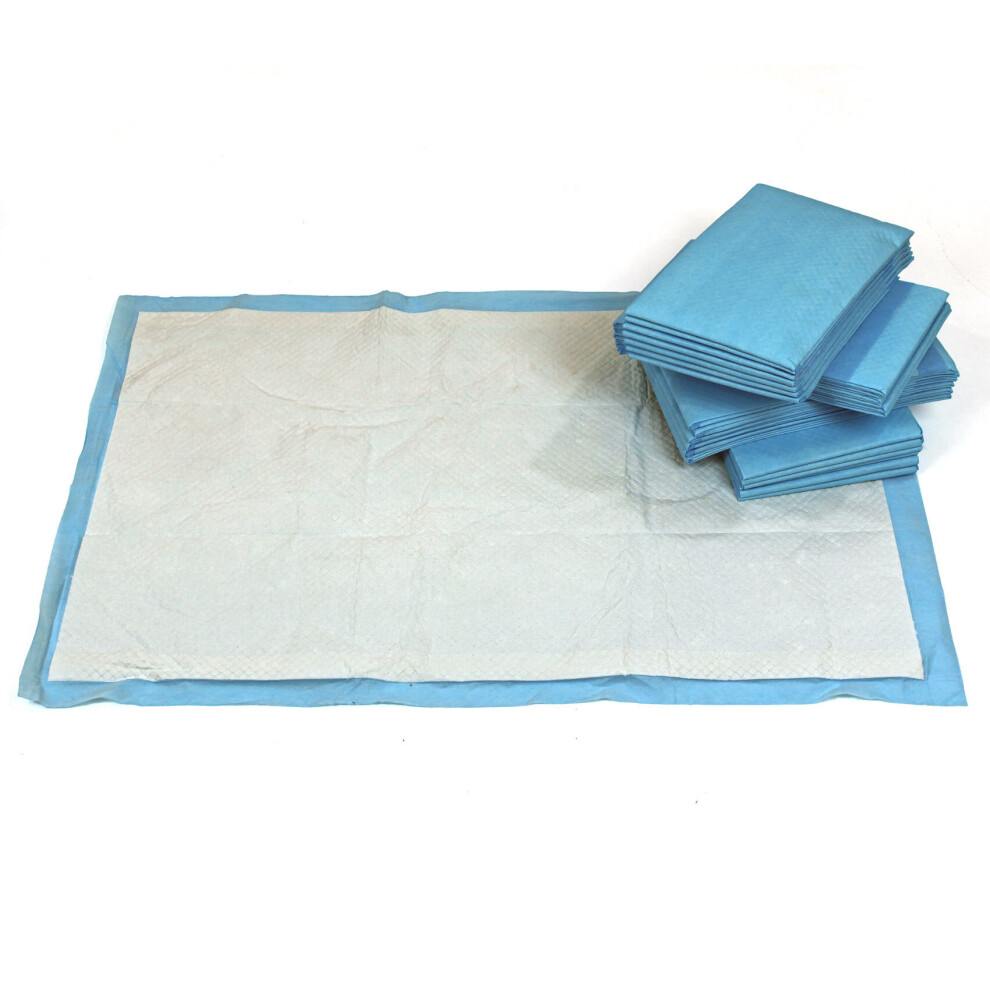 Dog Puppy pads Toilet Training 60 x 90cm Absorbency 1700ml x 1 pack