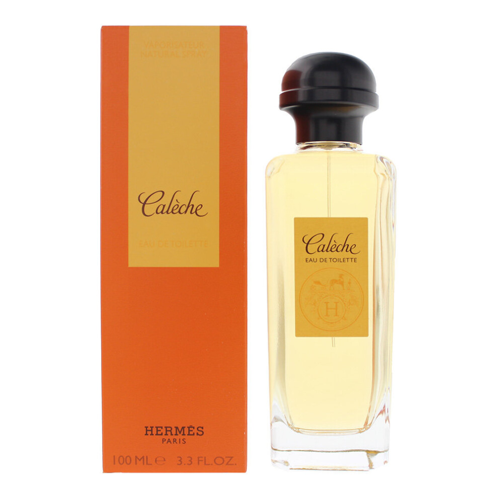 Hermes Hermã¨S Calã¨Che Eau De Toilette 100Ml