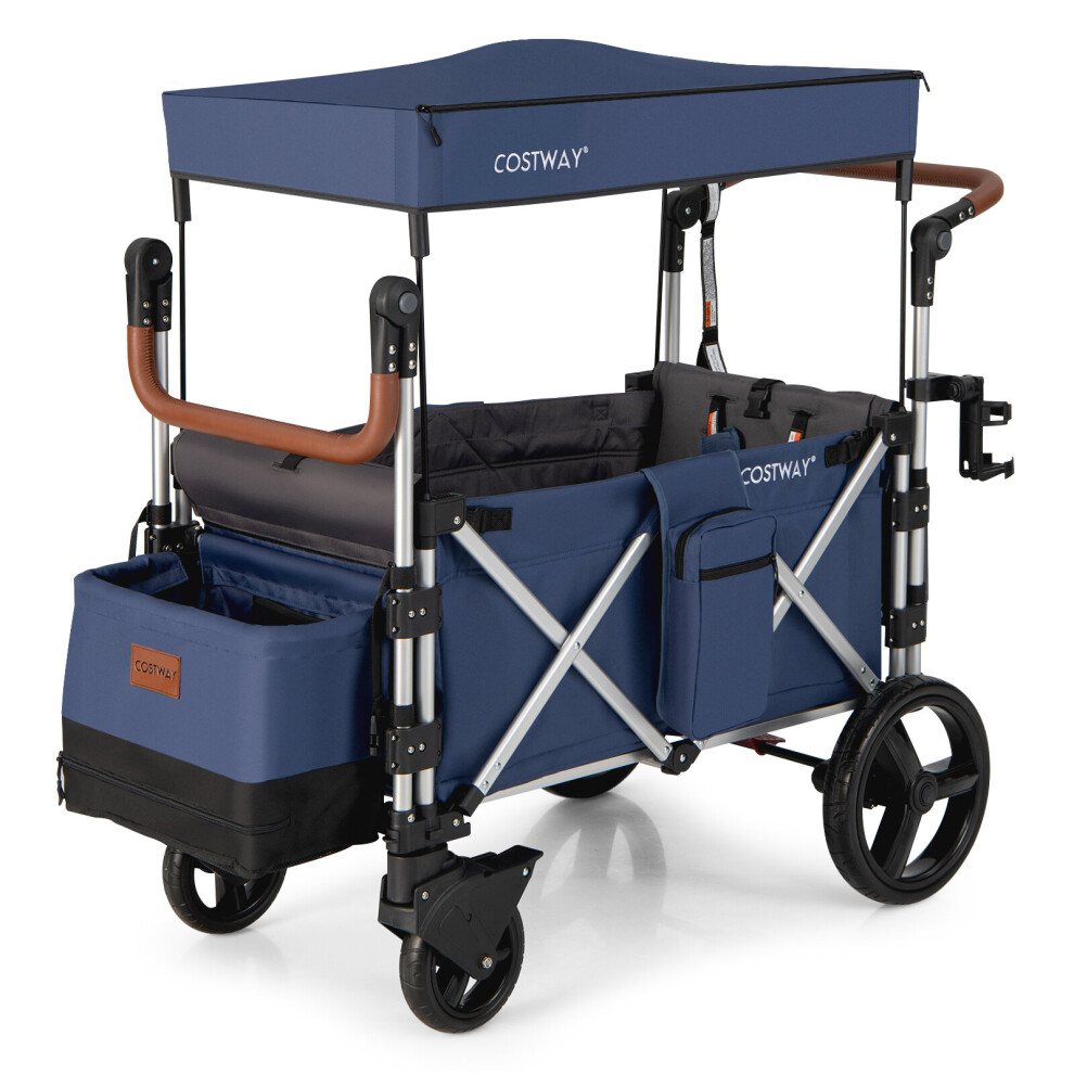 Twin Stroller Wagon 2 Passenger Push Pull Stroller Wagon