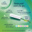 Lil-Lets Lil-Lets SmartFit Super Plus Non-Applicator Tampons - pack of 32 3