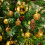 URBN Living (Gold) 70 Pc Red Silver Gold Christmas Bauble Box Plastic 2