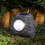 Smart Garden Products Smart Garden Rock Solar Spotlight 2
