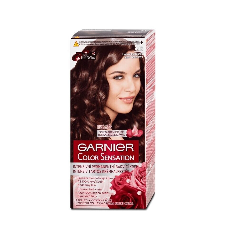 Garnier Color Sensation 4.15 Icy Chestnut Brown Permanent Hair Dye