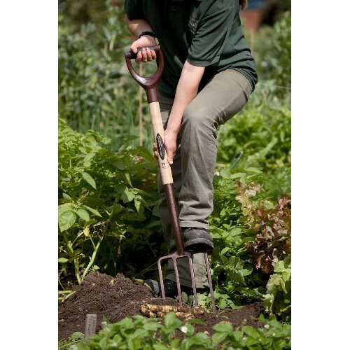 Spear & Jackson Spear & Jackson Elements Digging Fork 1