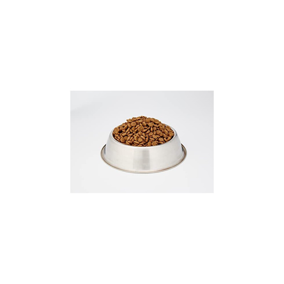 Eukanuba jack shop russell dog food