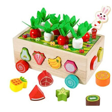 Montessori Toys for Toddler ,Wooden Educational Toys for Boys Girls , Shape Color Sorting Matching Educational Wooden Toys for Kids age 2 3 4 Yea