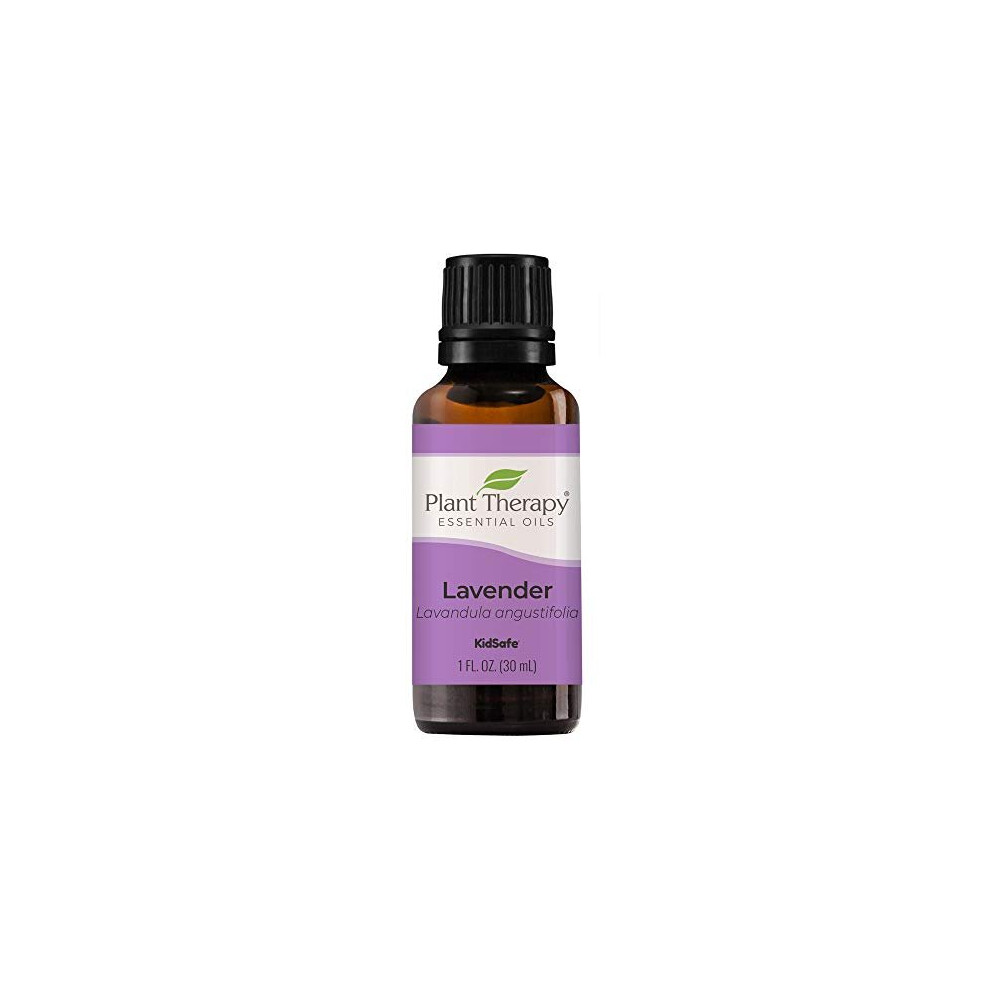 Huile essentielle de lavande Plant Therapy 100 % pure, non dilu   e, aromath   rapie naturelle de qualit    th   rapeutique, 30 ml (1 oz)