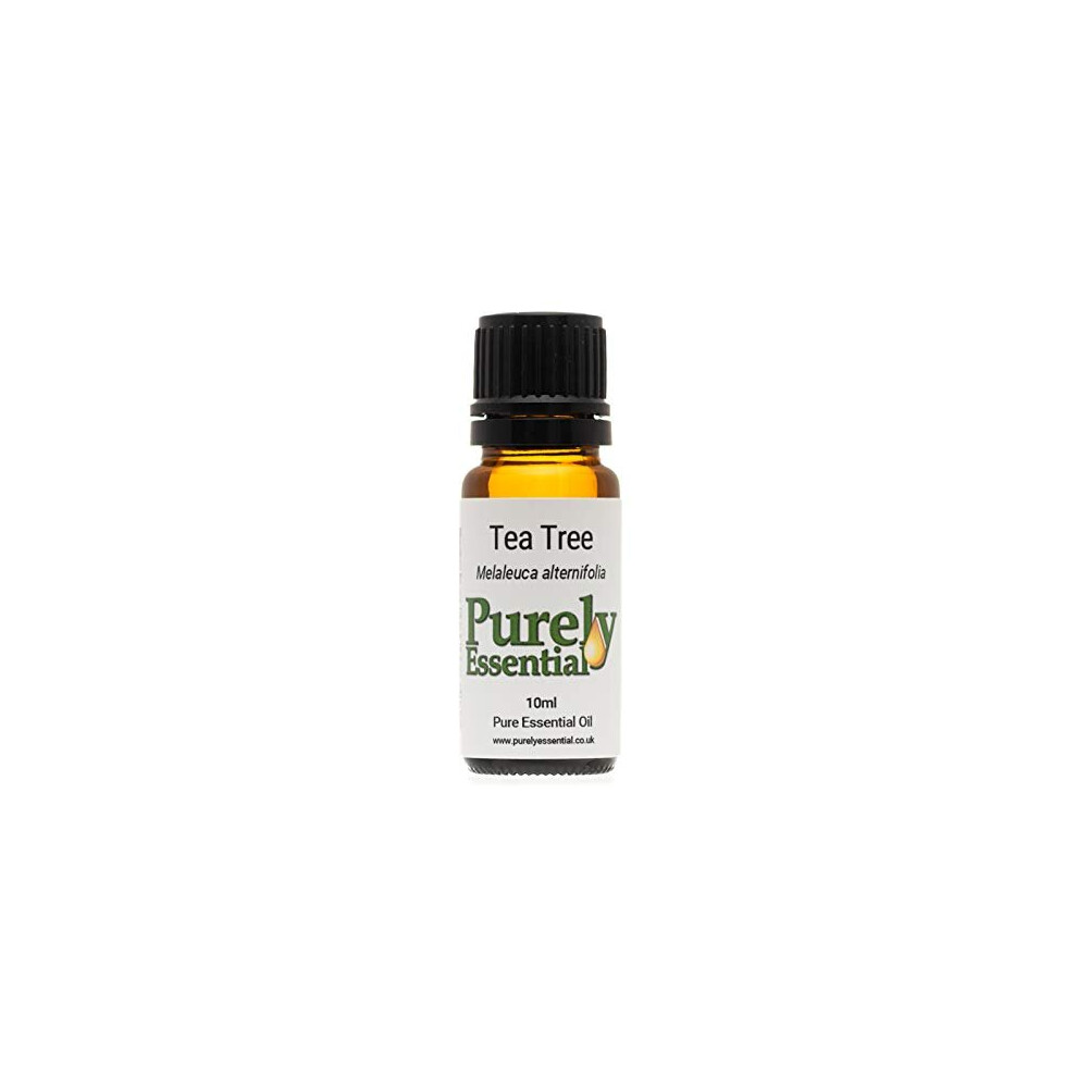 Purely Essential Amber Tea Tree Essential Oil 10Ml Pure And Natural,