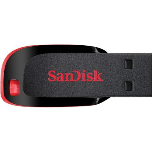 SanDisk SanDisk Cruzer Blade USB 32GB Flash Drive (SDCZ50-032G-A11)