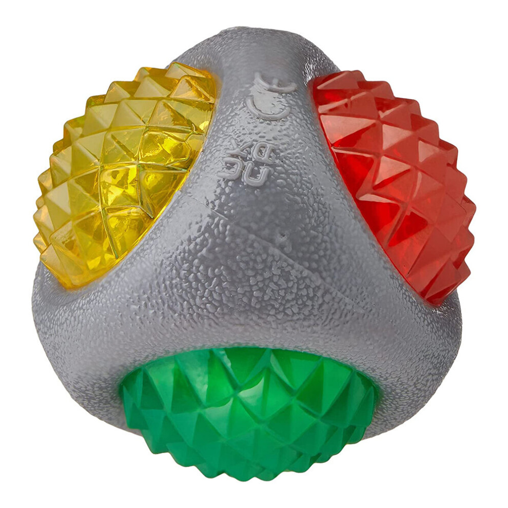 Rosewood Jolly Doggy Catch & Flash Dog Ball