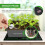 (UK Plug) Seedling Heat Mat Adjustable Plant Heating Mat With Digital Thermostat Controller 3