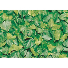 Alkor Furniture Adhesive Protective Film, Leaves, 45 cm x 2 mt