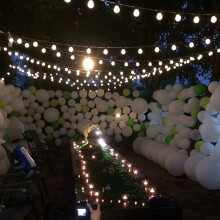 (Warm white, 10M 40Bulb) 100M String Light Christmas Festoon Bulb Fairy