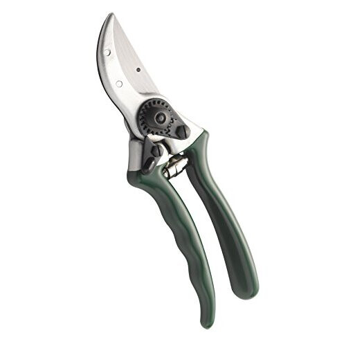 Spear & Jackson Spear & Jackson Kew Bypass Secateurs & Leather Holster set 1
