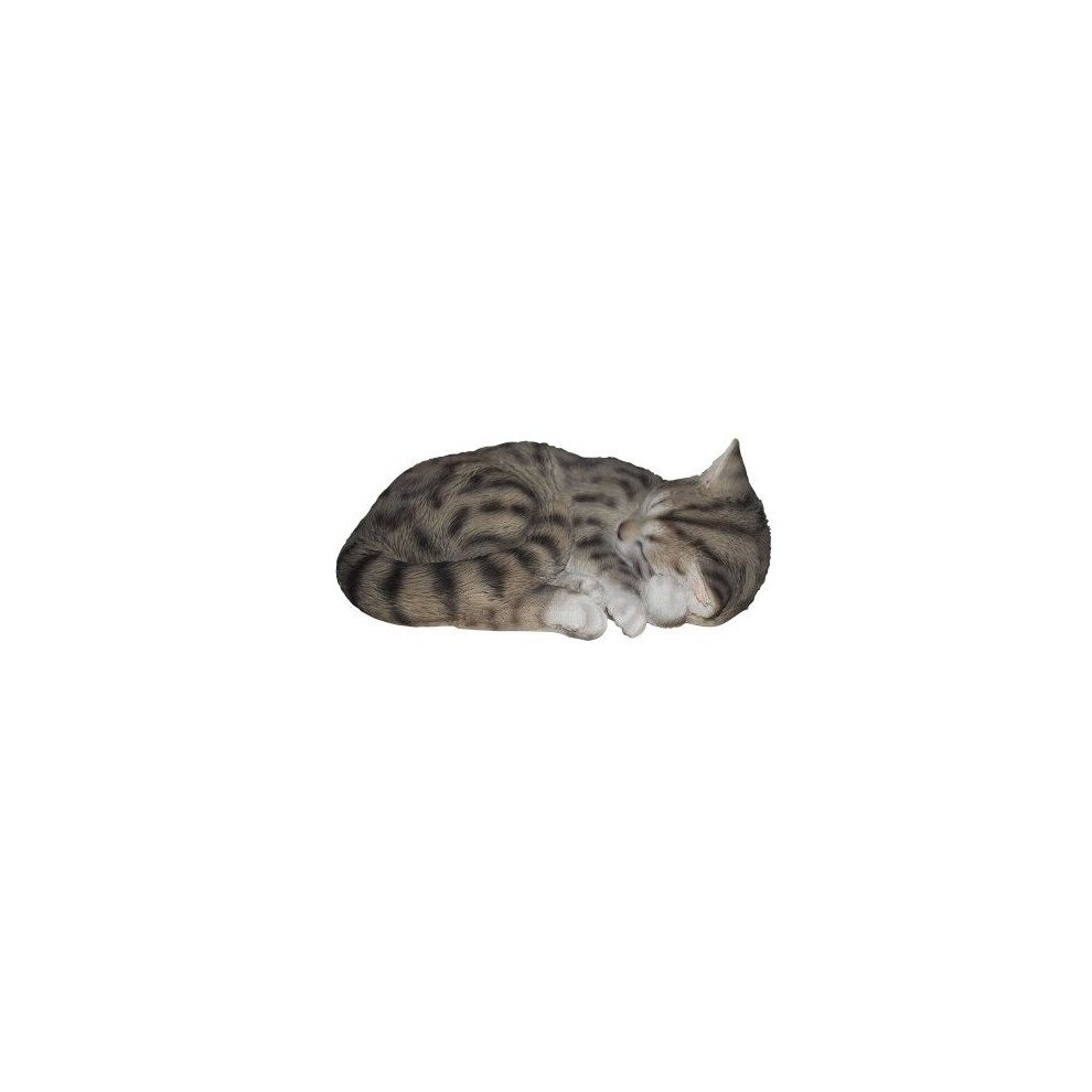 Vivid Arts Tabby Size B Real Life Sleeping Cat