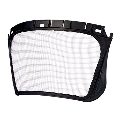3M Visiera 3M 5C per G2000, G3000 e G500 1