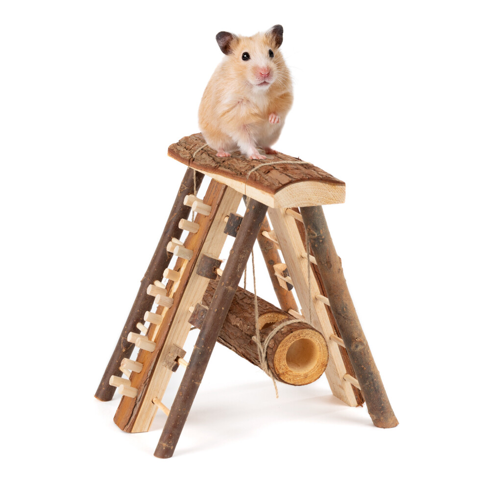 PETLICITY Hamster Playground Climbing Wall Wooden House Toy Small Animal Gerbil Mouse Rat