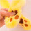 Lustige Plüsch Pikachu Mütze, Ohr Bewegung Pullover, Cosplay Kostüme 6