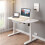 (White, 120 * 63.5cm) Electric Height Adjustable Standing Desk 5