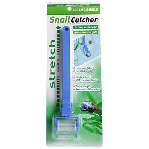 Dennerle Snailcatcher