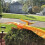 Jet Creations Inflatable Pteranodon Dinosaur, 57" WingSpan 6