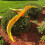 Jet Creations Inflatable Pteranodon Dinosaur, 57" WingSpan 4