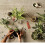 Crabtree & Evelyn Crabtree & Evelyn Gardeners e?a??et??? e??dat??? ???  a ?e????, 0,9 oz 3