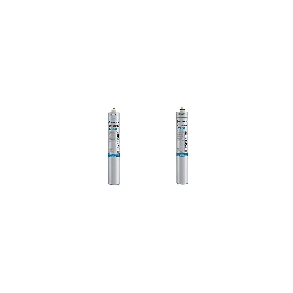 (Package Of 2) Everpure Insurice I2000-2 Replacement Water Filters EV9612-22